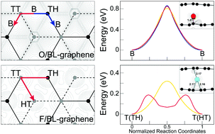 Graphical abstract: Contrasting diffusion behaviors of O and F atoms on graphene and within bilayer graphene