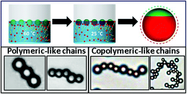 Graphical abstract: Self-assembly of inverse patchy colloids with tunable patch coverage