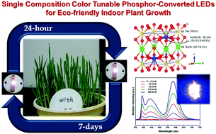 Graphical abstract: Dual spectra band emissive Eu2+/Mn2+ co-activated alkaline earth phosphates for indoor plant growth novel phosphor converted-LEDs