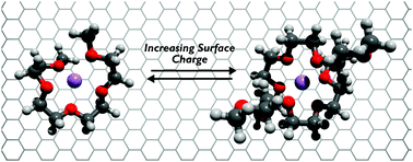 Graphical abstract: The nanostructure of a lithium glyme solvate ionic liquid at electrified interfaces