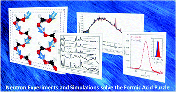 Graphical abstract: Nuclear dynamics and phase polymorphism in solid formic acid