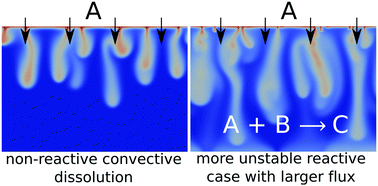 Graphical abstract: Enhanced steady-state dissolution flux in reactive convective dissolution