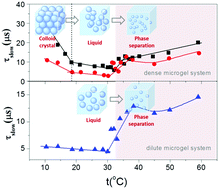 Graphical abstract: Concentration dependent phase behavior and collapse dynamics of PNIPAM microgel by dielectric relaxation