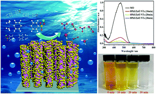 Graphical abstract: Selectivity of quantum dot sensitized ZnO nanotube arrays for improved photocatalytic activity