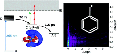 Graphical abstract: Femtosecond time-resolved photoelectron spectroscopy of the benzyl radical