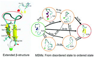 Graphical abstract: The folding mechanism and key metastable state identification of the PrP127–147 monomer studied by molecular dynamics simulations and Markov state model analysis