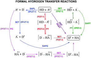 Graphical abstract: The role of acid–base equilibria in formal hydrogen transfer reactions: tryptophan radical repair by uric acid as a paradigmatic case