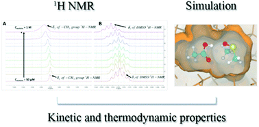 Graphical abstract: Unscrambling micro-solvation of –COOH and –NH groups in neat dimethyl sulfoxide: insights from 1H-NMR spectroscopy and computational studies