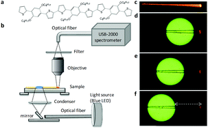 Graphical abstract: Low loss optical waveguiding in large single crystals of a thiophene-based oligomer