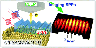 Graphical abstract: Two-photon photoelectron emission microscopy for surface plasmon polaritons at the Au(111) surface decorated with alkanethiolate self-assembled monolayers