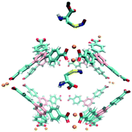 Graphical abstract: Effect of chemical structure of S-nitrosothiols on nitric oxide release mediated by the copper sites of a metal organic framework based environment