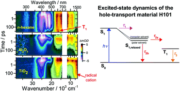 Graphical abstract: Photoinduced dynamics of the hole-transport material H101 in organic solvents and on mesoporous Al2O3 and TiO2 thin films