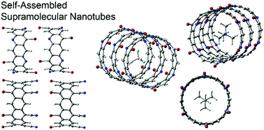 Graphical abstract: Supramolecular nanotubes based on halogen bonding interactions: cooperativity and interaction with small guests