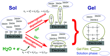 Graphical abstract: Kinetics of the electrochemically-assisted deposition of sol–gel films