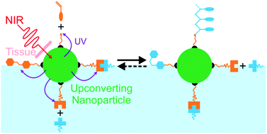 Graphical abstract: Near-infrared photochemistry at interfaces based on upconverting nanoparticles