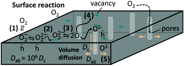 Graphical abstract: Untangling surface oxygen exchange effects in YBa2Cu3O6+x thin films by electrical conductivity relaxation