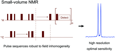 Graphical abstract: Toward high-resolution NMR spectroscopy of microscopic liquid samples
