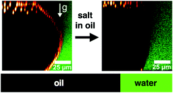 Graphical abstract: Colloid–oil–water-interface interactions in the presence of multiple salts: charge regulation and dynamics