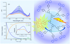 Graphical abstract: Time-resolved spectroscopic analysis of the light-energy harvesting mechanism in carbazole-dendrimers with a blue-phosphorescent Ir-complex core