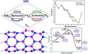 Graphical abstract: Can boron antisites of BNNTs be an efficient metal-free catalyst for nitrogen fixation? – A DFT investigation