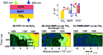 Graphical abstract: Quantifying ultrafast charge carrier injection from methylammonium lead iodide into the hole-transport material H101 and mesoporous TiO2 using Vis-NIR transient absorption