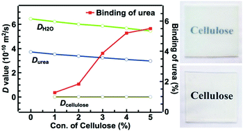 Graphical abstract: Weak interactions and their impact on cellulose dissolution in an alkali/urea aqueous system