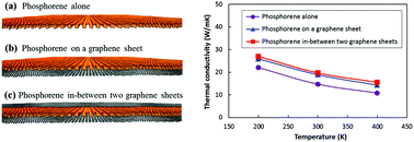 Graphical abstract: Thermal stability and thermal conductivity of phosphorene in phosphorene/graphene van der Waals heterostructures