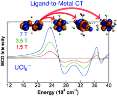 Graphical abstract: Magnetic circular dichroism of UCl6− in the ligand-to-metal charge-transfer spectral region