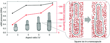 Graphical abstract: Self-assembled nanocapsules in water: a molecular mechanistic study