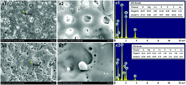 Graphical abstract: Preparation and characterization of a calcium–phosphate–silicon coating on a Mg–Zn–Ca alloy via two-step micro-arc oxidation