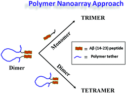 Graphical abstract: Single-molecule probing of amyloid nano-ensembles using the polymer nanoarray approach