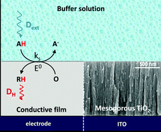Graphical abstract: Cyclic voltammetry modeling of proton transport effects on redox charge storage in conductive materials: application to a TiO2 mesoporous film