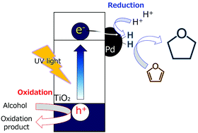 Graphical abstract: Photocatalytic hydrogenation of furan to tetrahydrofuran in alcoholic suspensions of metal-loaded titanium(iv) oxide without addition of hydrogen gas