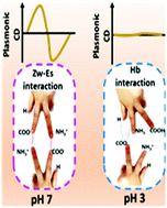 Graphical abstract: Recognition of chiral zwitterionic interactions at nanoscale interfaces by chiroplasmonic nanosensors