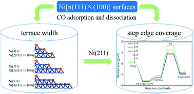 Graphical abstract: Theoretical insights into the effect of terrace width and step edge coverage on CO adsorption and dissociation over stepped Ni surfaces