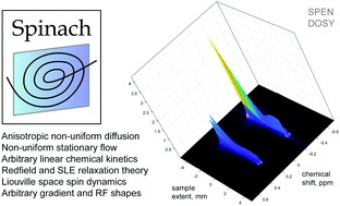 Graphical abstract: Efficient simulation of ultrafast magnetic resonance experiments