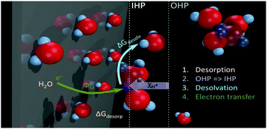 Graphical abstract: Balanced work function as a driver for facile hydrogen evolution reaction – comprehension and experimental assessment of interfacial catalytic descriptor