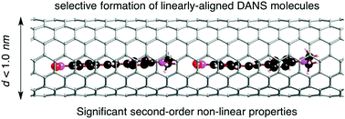 Graphical abstract: Importance of the alignment of polar π conjugated molecules inside carbon nanotubes in determining second-order non-linear optical properties