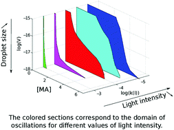 Graphical abstract: Nonlinear behavior and fluctuation-induced dynamics in the photosensitive Belousov–Zhabotinsky reaction