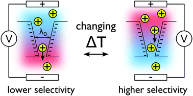 Graphical abstract: Influence of temperature gradients on charge transport in asymmetric nanochannels