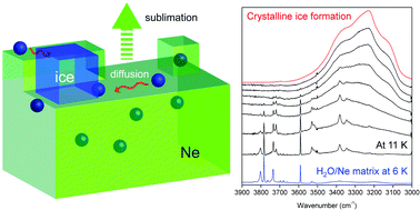 Graphical abstract: Fast crystalline ice formation at extremely low temperature through water/neon matrix sublimation