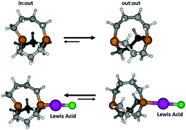 Graphical abstract: Modulation of in:out and out:out conformations in [X.X′.X′′] phosphatranes by Lewis acids