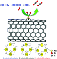 Graphical abstract: The effect of defects on the catalytic activity of single Au atom supported carbon nanotubes and reaction mechanism for CO oxidation