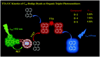 Graphical abstract: Triplet–triplet annihilation upconversion kinetics of C60–Bodipy dyads as organic triplet photosensitizers