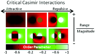 Graphical abstract: On the critical Casimir interaction between anisotropic inclusions on a membrane