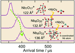 Graphical abstract: Compositions and structures of niobium oxide cluster ions, NbmOn±, (m = 2–12), revealed by ion mobility mass spectrometry
