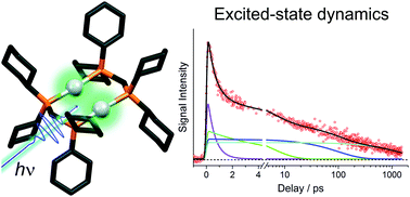 Graphical abstract: Ultrafast excited-state relaxation of a binuclear Ag(i) phosphine complex in gas phase and solution