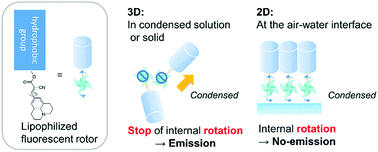 Graphical abstract: Molecular rotors confined at an ordered 2D interface