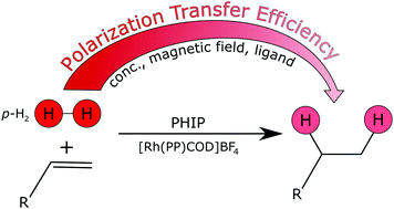Graphical abstract: Polarization transfer efficiency in PHIP experiments