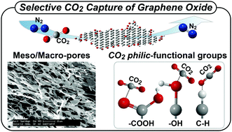 Graphical abstract: Unveiling anomalous CO2-to-N2 selectivity of graphene oxide